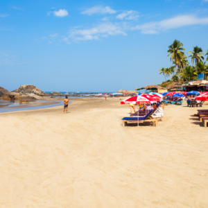 Baleno/Swift/I20 Automatic